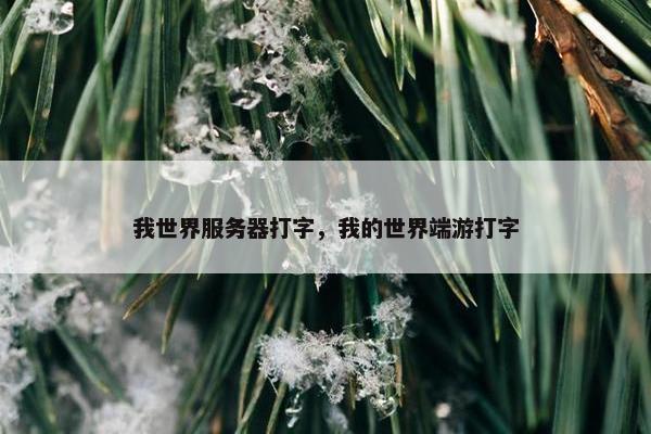 我世界服务器打字，我的世界端游打字