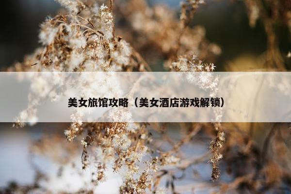 美女旅馆攻略（美女酒店游戏解锁）