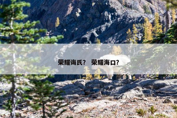 荣耀诲氏？ 荣耀海口？