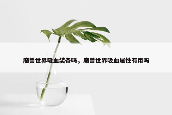 魔兽世界吸血装备吗，魔兽世界吸血属性有用吗