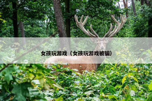 女孩玩游戏（女孩玩游戏被骗）