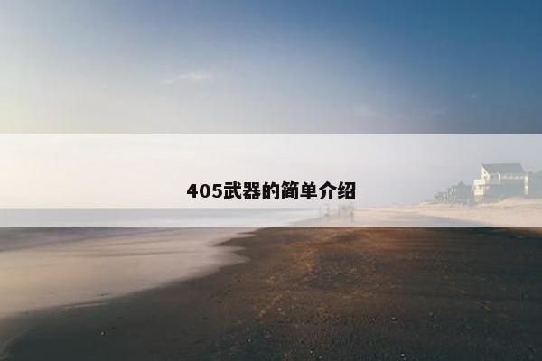 405武器的简单介绍
