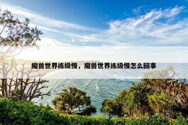 魔兽世界练级慢，魔兽世界练级慢怎么回事