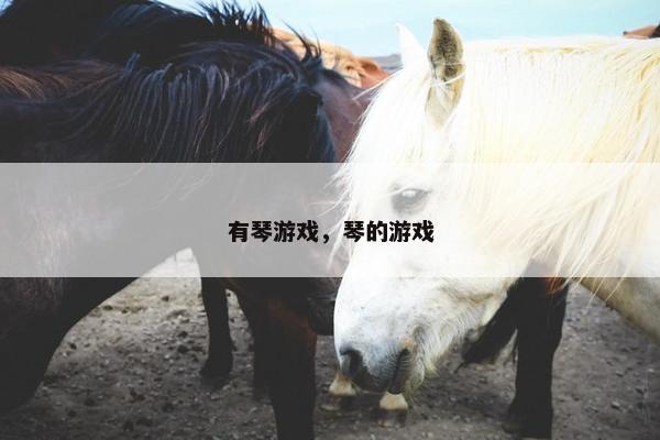 有琴游戏，琴的游戏