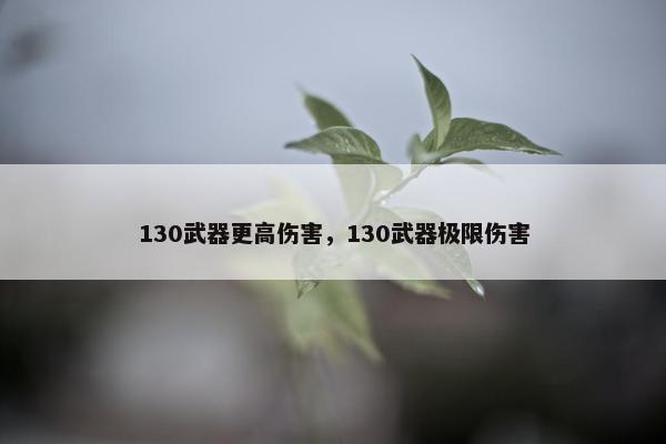 130武器更高伤害，130武器极限伤害