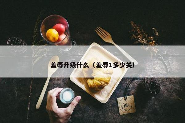 羞辱升级什么（羞辱1多少关）