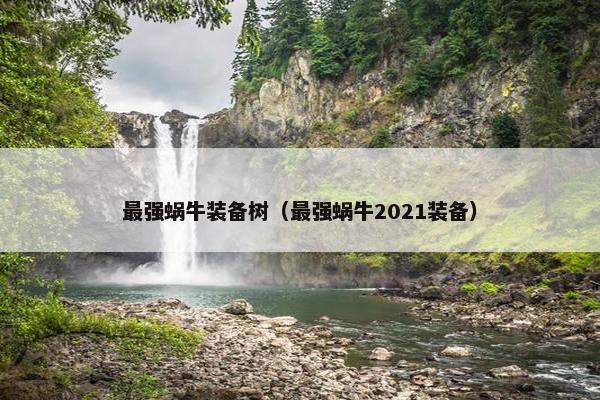 最强蜗牛装备树（最强蜗牛2021装备）