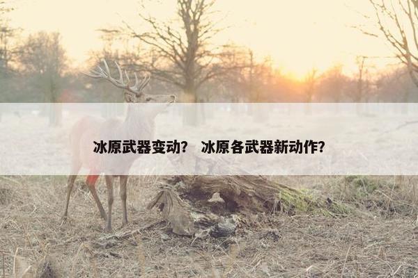 冰原武器变动？ 冰原各武器新动作？