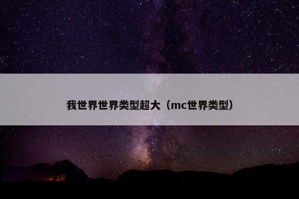 我世界世界类型超大（mc世界类型）
