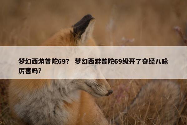 梦幻西游普陀69？ 梦幻西游普陀69级开了奇经八脉厉害吗？