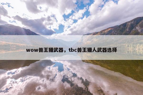 wow兽王猎武器，tbc兽王猎人武器选择