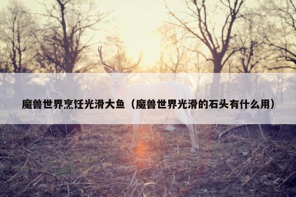 魔兽世界烹饪光滑大鱼（魔兽世界光滑的石头有什么用）