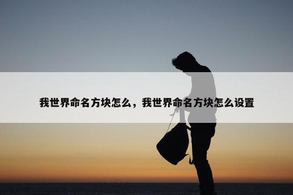 我世界命名方块怎么，我世界命名方块怎么设置