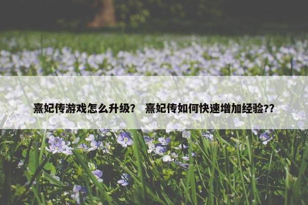 熹妃传游戏怎么升级？ 熹妃传如何快速增加经验?？