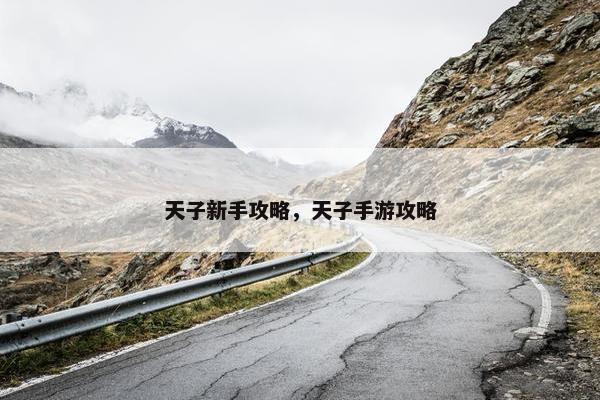 天子新手攻略，天子手游攻略
