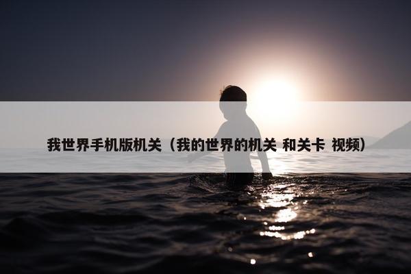 我世界手机版机关（我的世界的机关 和关卡 视频）