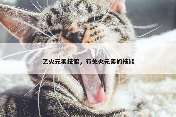 乙火元素技能，有关火元素的技能