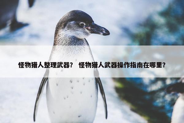 怪物猎人整理武器？ 怪物猎人武器操作指南在哪里？