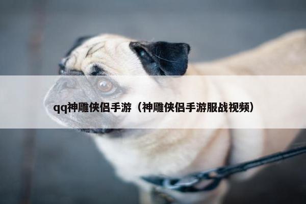 qq神雕侠侣手游（神雕侠侣手游服战视频）