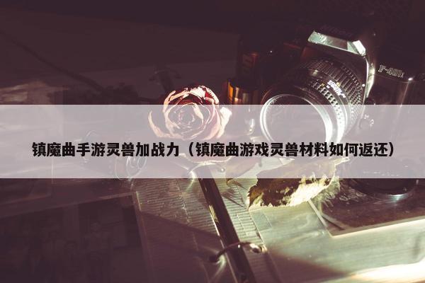 镇魔曲手游灵兽加战力（镇魔曲游戏灵兽材料如何返还）