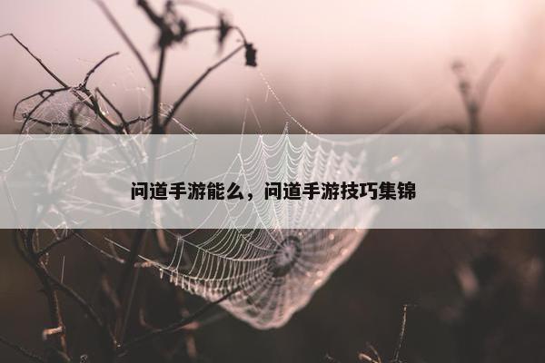 问道手游能么，问道手游技巧集锦