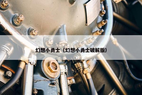 幻想小勇士（幻想小勇士破解版）
