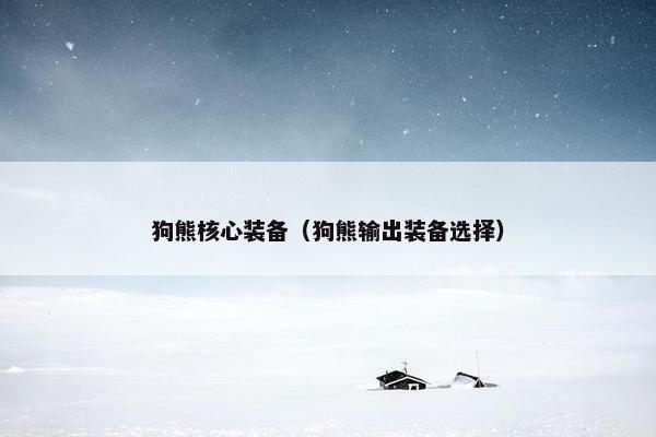 狗熊核心装备（狗熊输出装备选择）