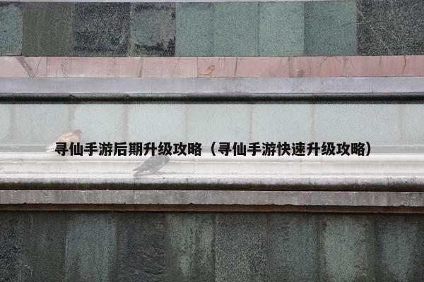 寻仙手游后期升级攻略（寻仙手游快速升级攻略）