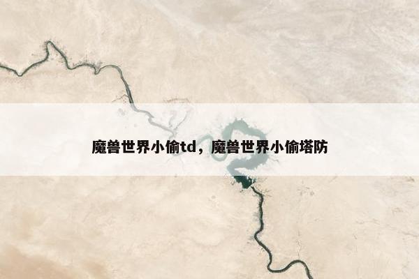 魔兽世界小偷td，魔兽世界小偷塔防