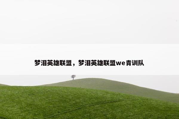 梦泪英雄联盟，梦泪英雄联盟we青训队
