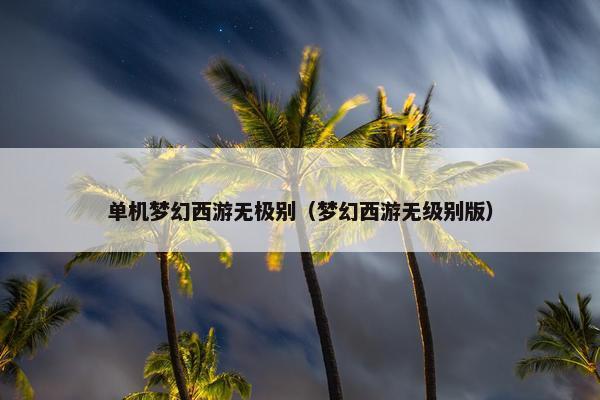 单机梦幻西游无极别（梦幻西游无级别版）