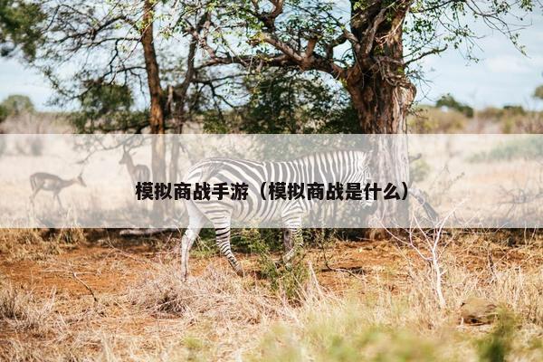 模拟商战手游（模拟商战是什么）