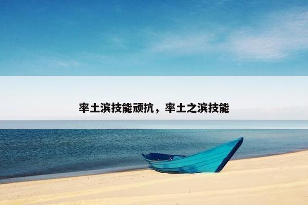 率土滨技能顽抗，率土之滨技能