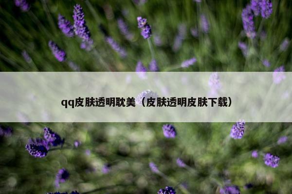 qq皮肤透明耽美（皮肤透明皮肤下载）