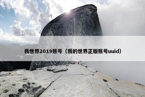 我世界2019账号（我的世界正版账号uuid）
