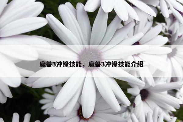 魔兽3冲锋技能，魔兽3冲锋技能介绍