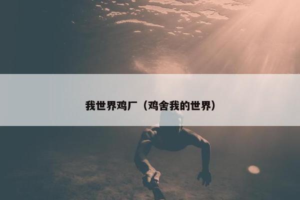 我世界鸡厂（鸡舍我的世界）