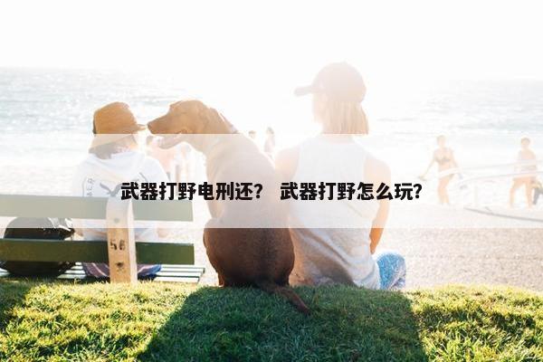 武器打野电刑还？ 武器打野怎么玩？