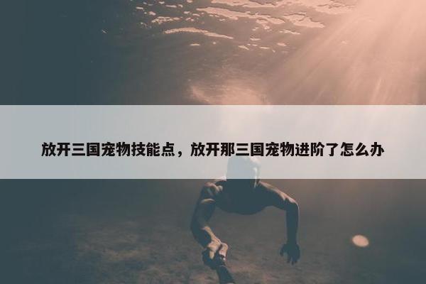 放开三国宠物技能点，放开那三国宠物进阶了怎么办