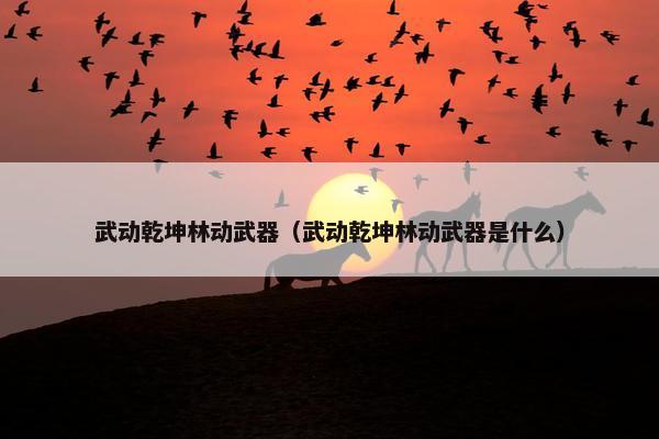 武动乾坤林动武器（武动乾坤林动武器是什么）
