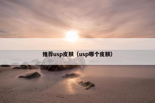 推荐usp皮肤（usp哪个皮肤）