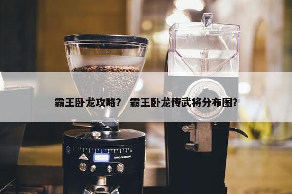 霸王卧龙攻略？ 霸王卧龙传武将分布图？