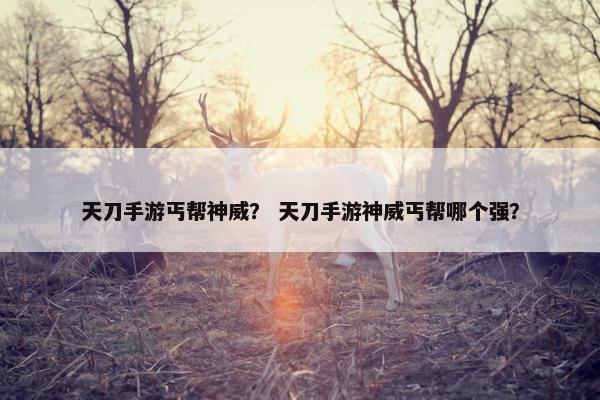 天刀手游丐帮神威？ 天刀手游神威丐帮哪个强？