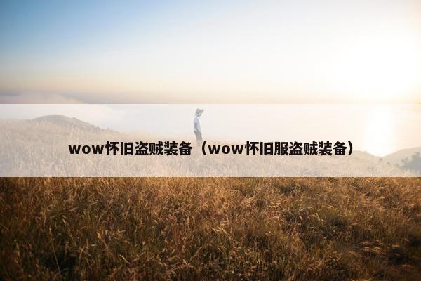 wow怀旧盗贼装备（wow怀旧服盗贼装备）