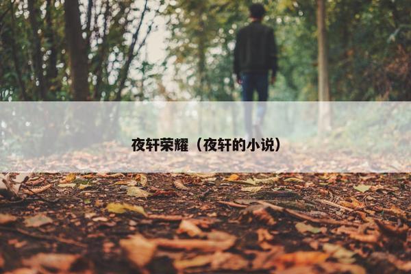 夜轩荣耀（夜轩的小说）