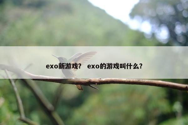 exo新游戏？ exo的游戏叫什么？