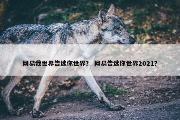 网易我世界告迷你世界？ 网易告迷你世界2021？