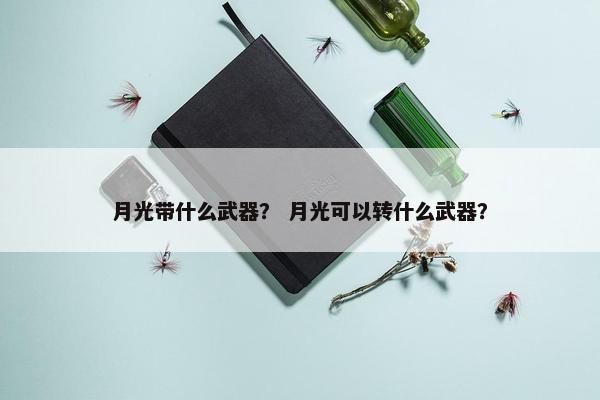 月光带什么武器？ 月光可以转什么武器？