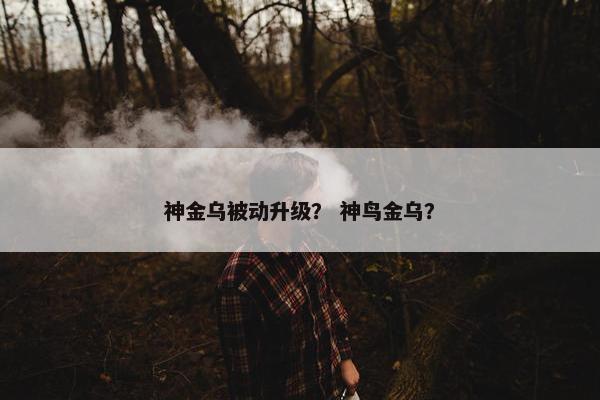 神金乌被动升级？ 神鸟金乌？