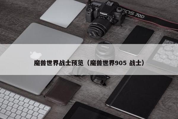 魔兽世界战士预览（魔兽世界905 战士）